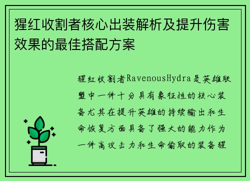 猩红收割者核心出装解析及提升伤害效果的最佳搭配方案